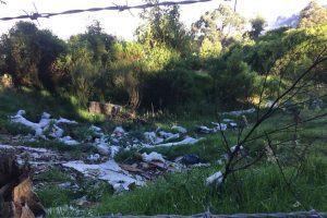 Cerros Orientales en Bogotá: ¿botadero de escombros?