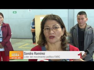 Pese a malos resultados en votaciones, FARC hará parte del Congreso