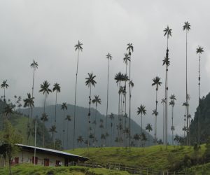A la fecha Colombia cuenta en total con 13 áreas certificadas como destinos turísticos sostenibles