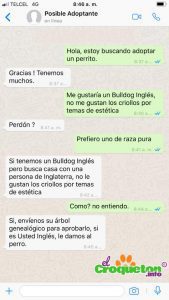 Chat de WhatsApp que se hace viral por querer un perro de raza y no criollo