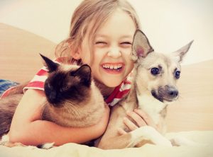Conoce los beneficios de hacer masajes a tu perro