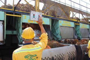 Grupo Daabon apuesta por una agricultura sostenible en plantaciones de aceite de palma