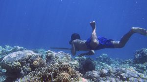 Descubren el secreto de las capacidades extraordinarias de los ‘gitanos del mar’