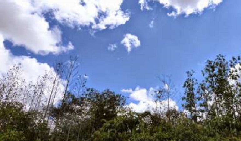 MinAmbiente decidirá si Bogotá participa sobre futuro de la Van Der Hemmen