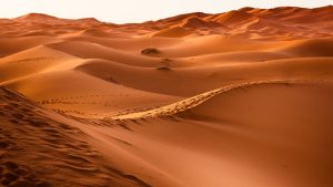 El desierto del Sáhara es un 10 % más grande que hace 100 años
