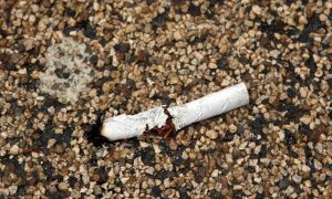 Botar colillas o chicles en las calles de Bogotá tendría sanciones pedagógicas
