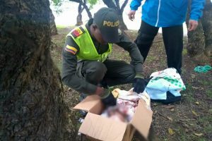 Bebé recién nacida fue hallada en una caja abandonada en un parque de Bogotá