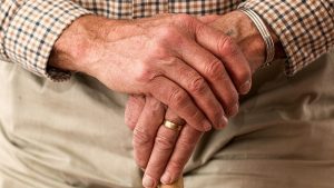 Logran ‘borrar’ el daño de la enfermedad de Alzheimer