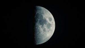 China cultivará plantas y gusanos de seda en la Luna