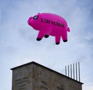 El misterio del cerdo rosado flotando en Bogotá