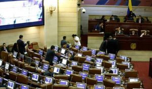 Cursa en el congreso el proyecto que pretende crear la ley del vigilante