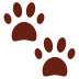  🐾 