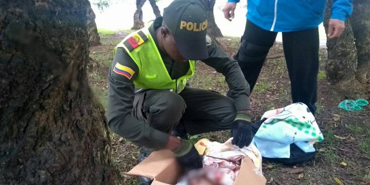 Abandonan a recién nacida en una caja en Bogotá