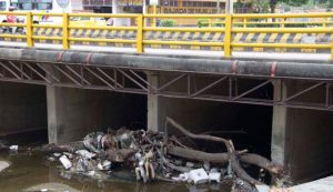 Tronco lleva más de dos semanas en el canal Bogotá