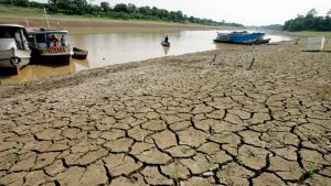 Científicos revelan cuándo podría ‘secarse’ la Amazonia