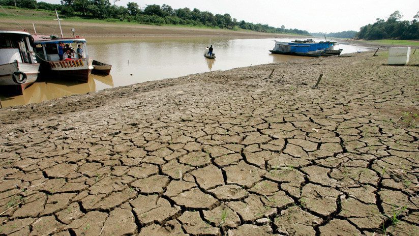 Científicos revelan cuándo podría ‘secarse’ la Amazonia