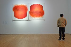 MAMU de Bogotá desafía la forma en que vemos el «arte racional»