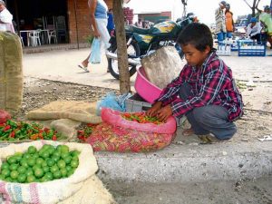 Córdoba ocupa el sexto lugar en la escala de trabajo infantil en Colombia