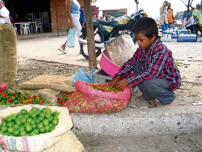 Córdoba ocupa el sexto lugar en la escala de trabajo infantil en Colombia