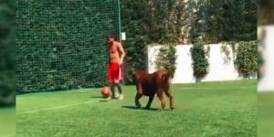 El video de Lionel Messi y su perro que causa furor en redes sociales