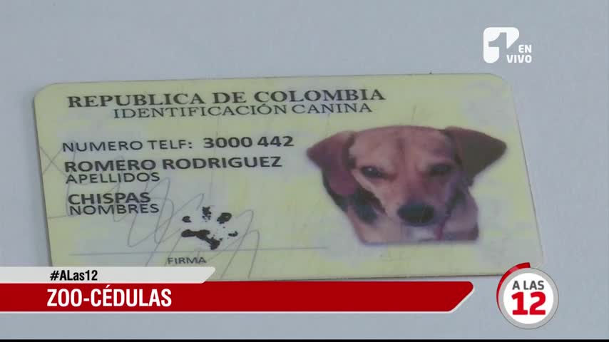 Estas son las 'zoo cédulas', ¿ya tienes para tu mascota?