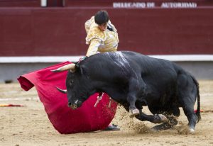 El Tribunal Constitucional de Colombia revive las corridas de toros como «tradición cultural»