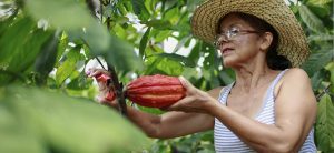 Bogotá será sede de «La casa del chocolate 2018»