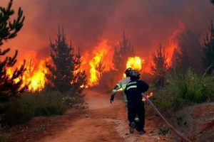 El calentamiento global, ¿responsable de los incendios forestales?