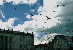 ¿Por qué ya no habrán vendedores de maíz en la Plaza de Bolívar de Bogotá?