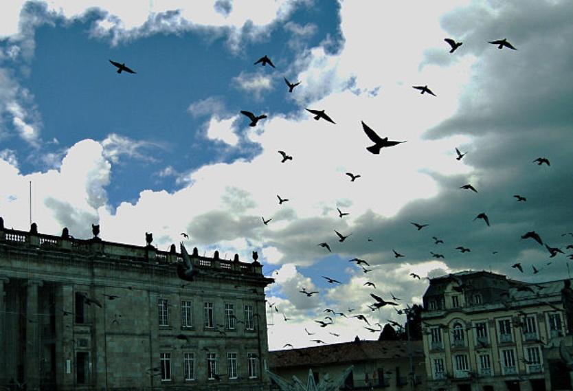 ¿Por qué ya no habrán vendedores de maíz en la Plaza de Bolívar de Bogotá?