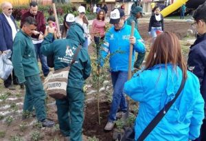 Jardín Botánico de Bogotá suspende temporalmente la tala de árboles en Carrera 9