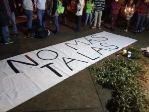 Con velatón, ciudadanos rechazaron tala indiscriminada de árboles en Bogotá