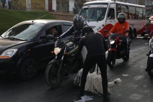 Más 490 animales han sido atropellados en Bogotá en lo corrido del año