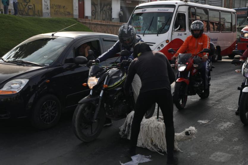 Más 490 animales han sido atropellados en Bogotá en lo corrido del año