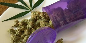 Ahora se puede llevar a cabo marihuana en los vuelos internos en Canadá