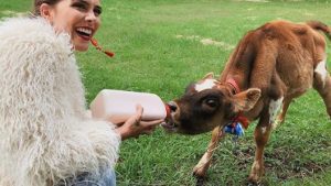 Greeicy Rendón y su mascota particular entrando las redes con este video