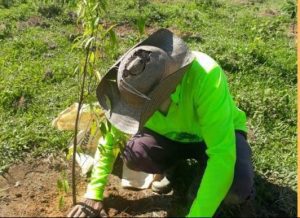Gran Colombia Gold sostiene que la reforestación es un compromiso de todos