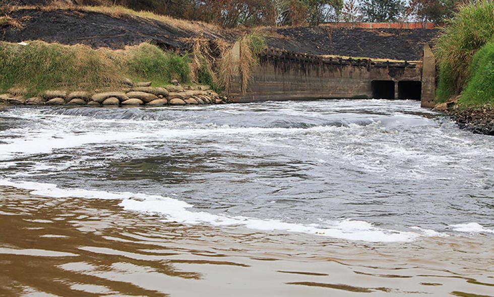 Minera ilegal contribuye a la contaminación de más de 60% de los ríos colombianos