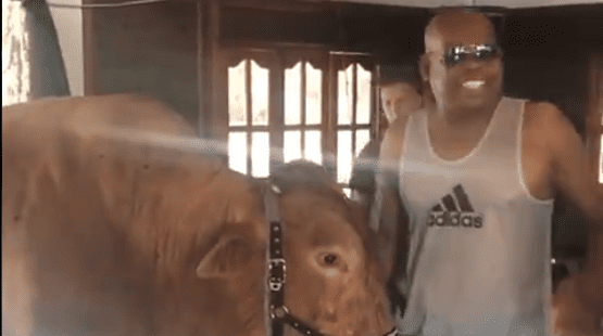 El “Tino” Asprilla bromea y compara su peso con el de su toro “Lagrimón”