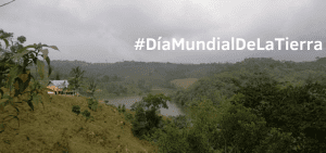 Gran Colombia Gold: “la preservación del medio ambiente es un compromiso de todos»