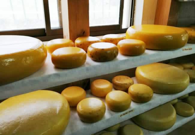 El holandés que encontró su Gouda en los Andes colombianos.
