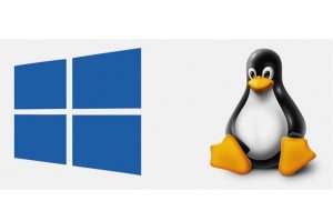 Corea del Sur dice adiós a Windows le da la bienvenida a Linux