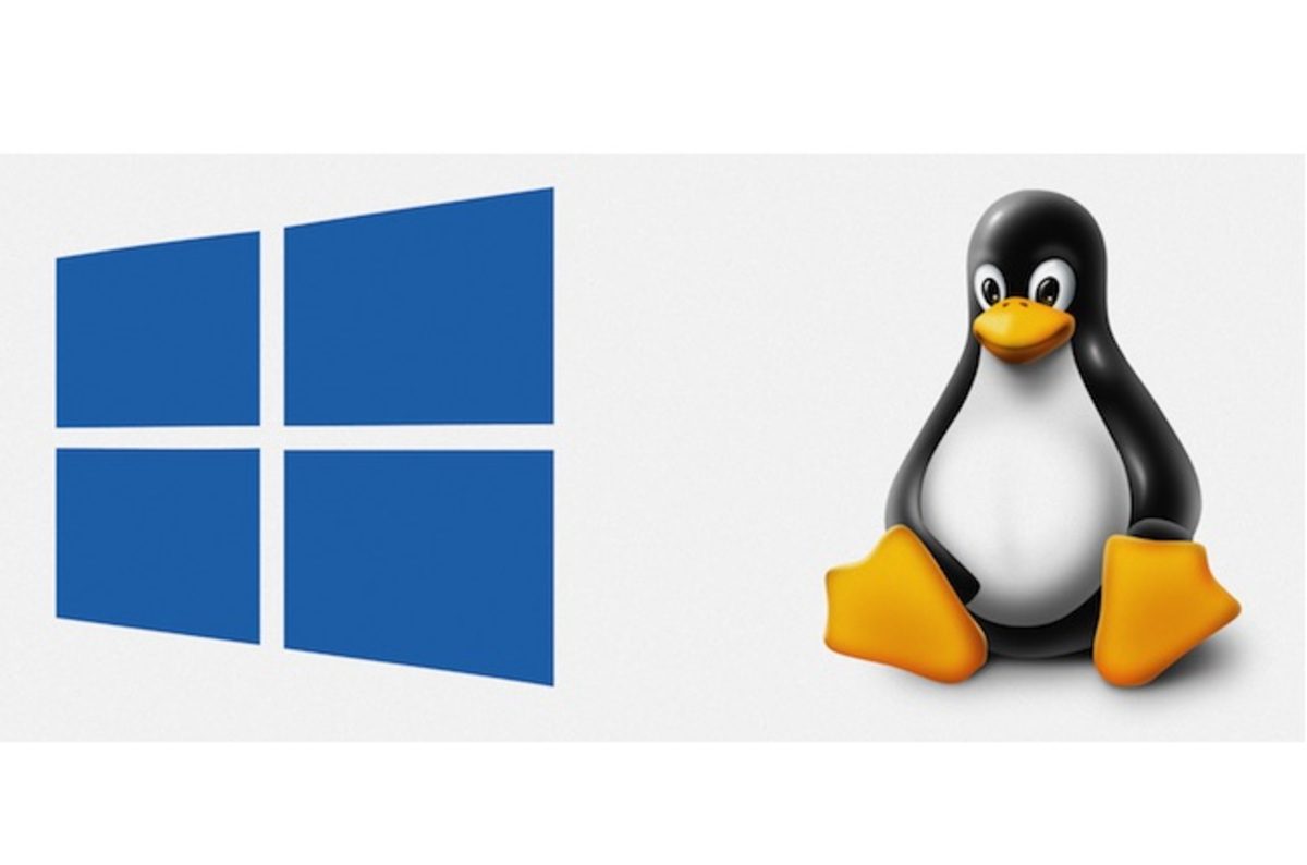Corea del Sur dice adiós a Windows le da la bienvenida a Linux
