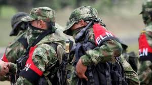 Abatidos seis miembros del ELN en operaciones militares del Chocó
