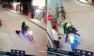 ¡VIDEO! Policía separó de sus cargos a los dos uniformados envueltos en caso de maltrato animal a una perra en Bogotá
