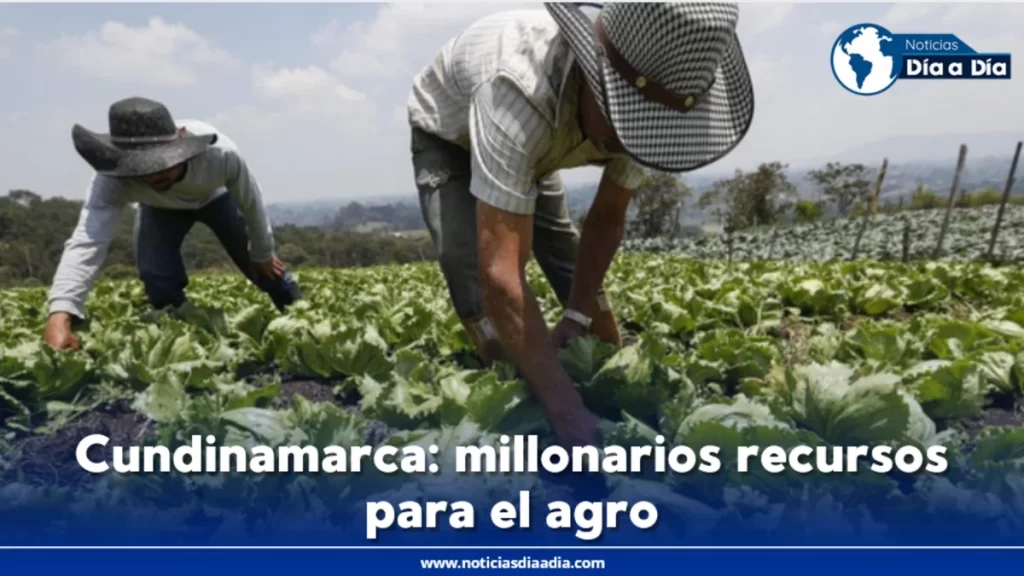 Otro paquete de ayudas económicas para sector agropecuario en Cundinamarca
