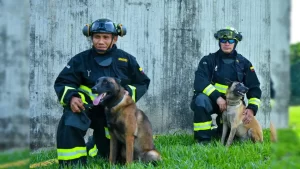 ¡Con cuatro perros rastreadores! Equipo élite de rescate de Colombia ya está en Venezuela