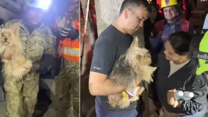 ¡Luz de esperanza! Camila Sofía aun está atrapada en el noveno piso, lograron sacar la mascota