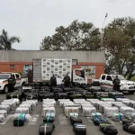 Incautan 3,8 toneladas de marihuana en el Valle del Cauca