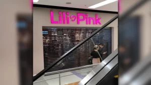 «No abandonaron el país»: Lili Pink rompe el silencio sobre el paradero de sus dueños y su proceso judicial «No abandonaron el país»: Lili Pink rompe el silencio sobre el paradero de sus dueños y su proceso judicial